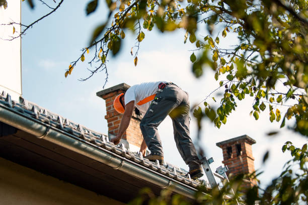 Best Flat Roof Repair Services  in Jefferson, WI